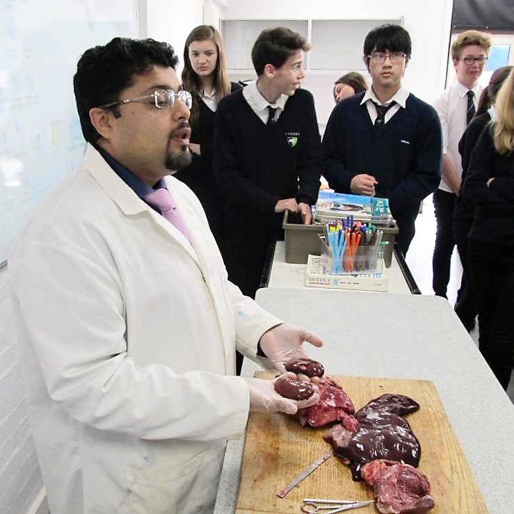 Tuitionology Student Support